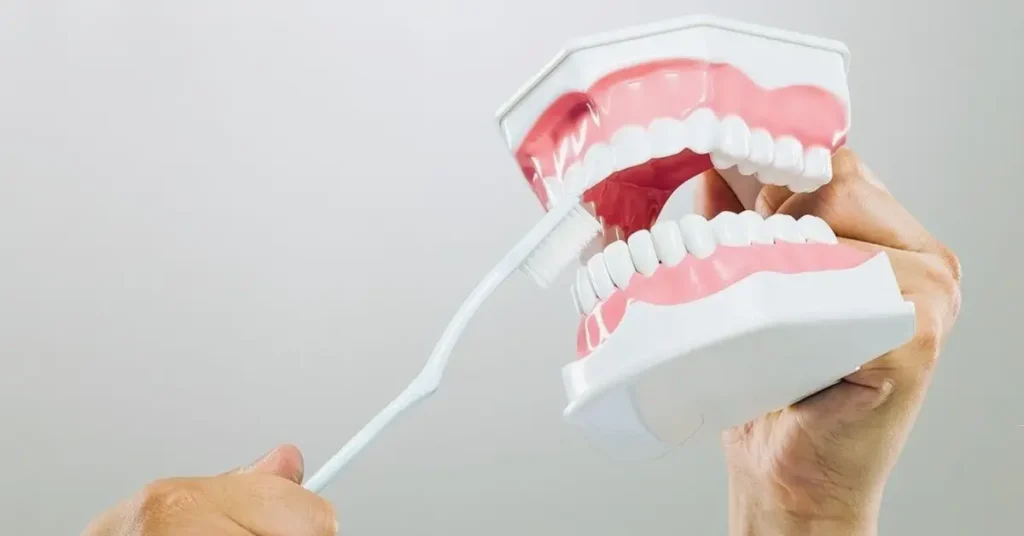 Not Brushing Your Entire Mouth